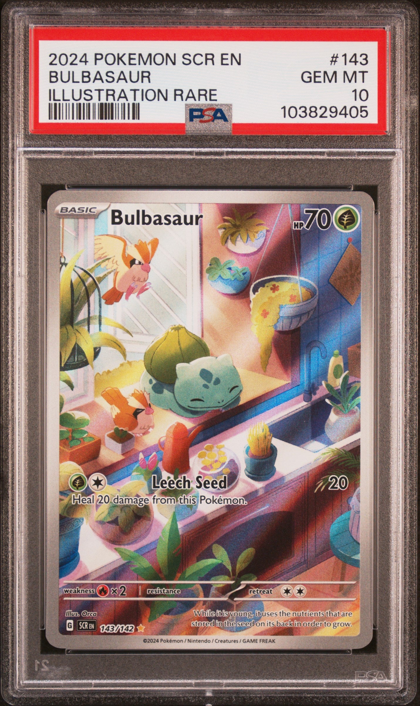 2024 POKEMON SCR EN-STELLAR CROWN BULBASAUR #143 PSA 10 - Image 1