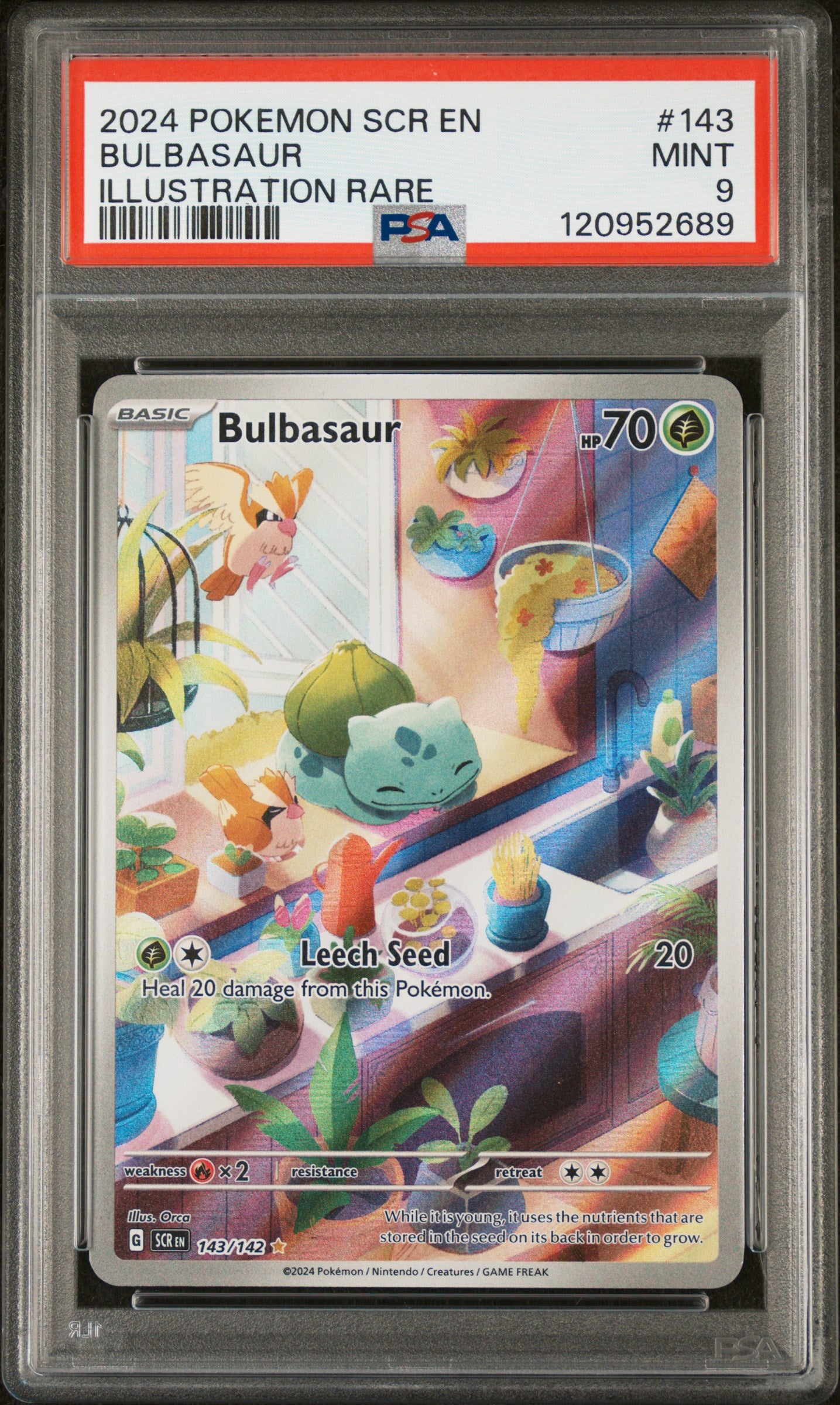 2024 POKEMON SCR EN-STELLAR CROWN BULBASAUR #143 PSA 9 - Image 1